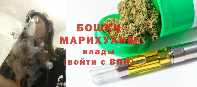 сколько стоит  Покров  Бошки марихуана SATIVA & INDICA 